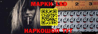 МДПВ Гатчина