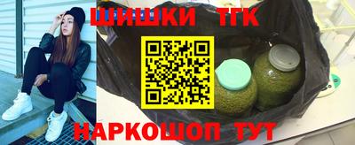 индика Гай