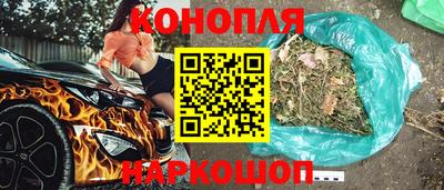 индика Гай
