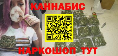 индика Гай
