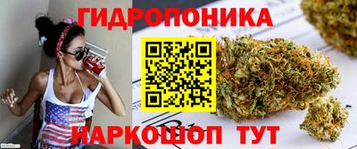 индика Гай