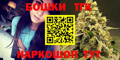 индика Гай