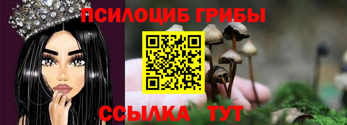 Псилоцибиновые грибы мицелий Нефтекамск