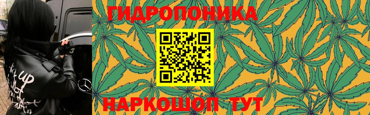 МАРИХУАНА Bruce Banner  Вход с VPN  Бошки Шишки конопля  Бошки Шишки Amnesia  Нефтекамск 